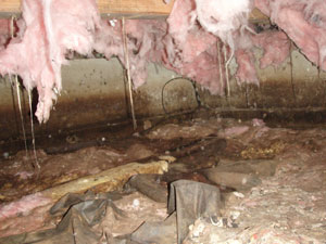 Shallow Dirty crawl space