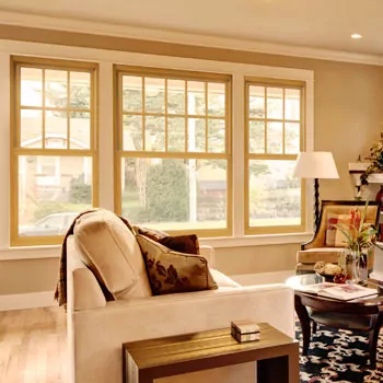 Replacement Windows